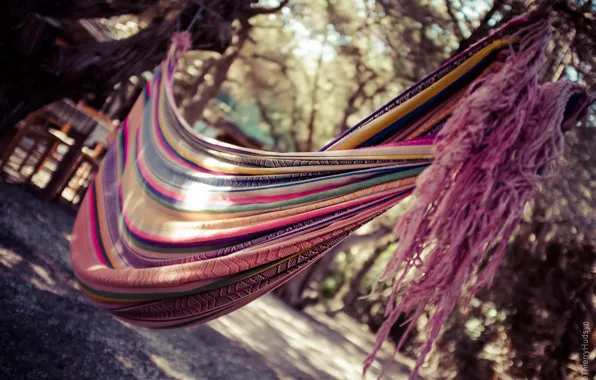 Picture nature, stay, hammock, fabric