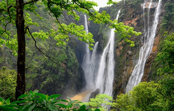 Picture forest, trees, mountains, rocks, India, waterfalls, India, Karnataka