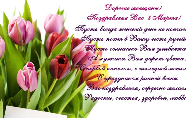 Picture tulips, March 8, tulips, congratulations, spring, women's day