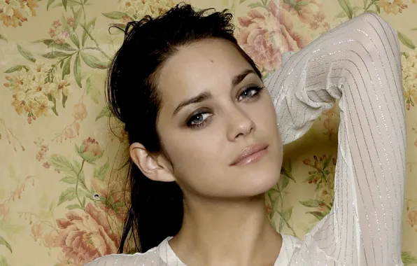 Pose, actress, brunette, blue eyes, blue-eyed, hair, Marion Cotillard, Marion Cotillard