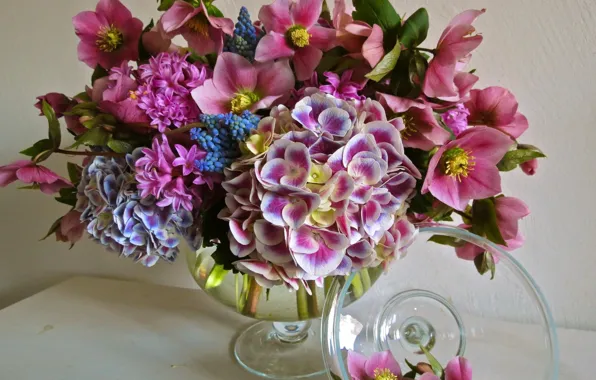 Picture colorful, flower, nature, life, flowers, bouquet, still