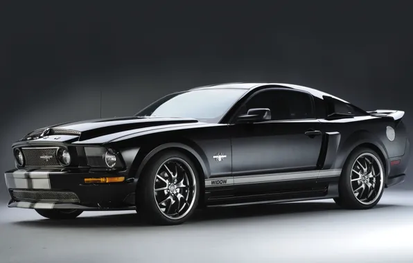 Mustang, Ford, Mustang, Ford, 2009, Black Widow
