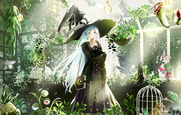 Girl, hat, Cat, Dress, witch, Aqua Hair