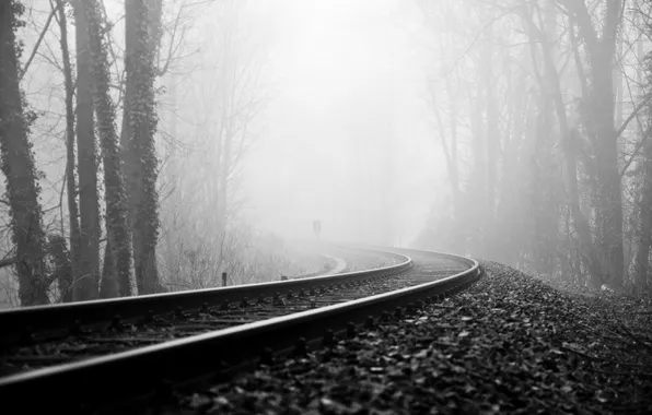 Trees, fog, black and white, rails, mound