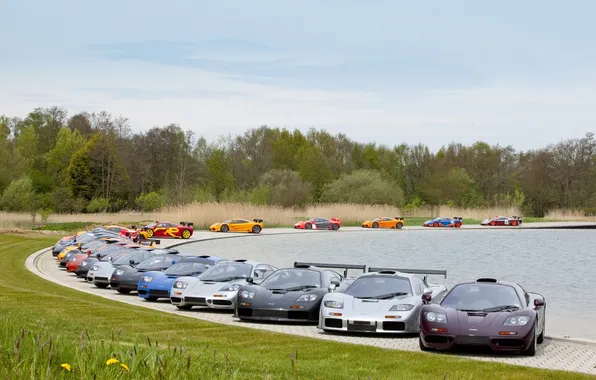 Picture supercars, McLaren F1, a meeting of owners, F1 GTR, F1 LM