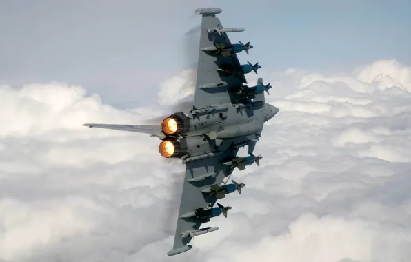 The plane, missiles, turn, nozzle, Eurofighter EF-2000 Typhoon, Eurofighter Typhoon