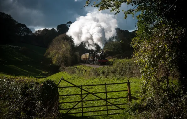 Nature, smoke, train, the engine, cars