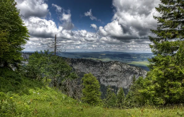 Picture trees, landscape, nature, rocks, HDR