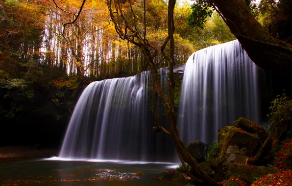 Autumn, trees, nature, river, waterfall