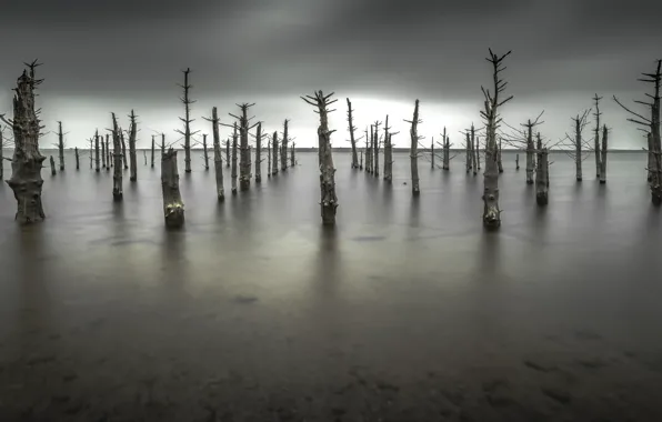 England, St. Neot, Plimsoll line