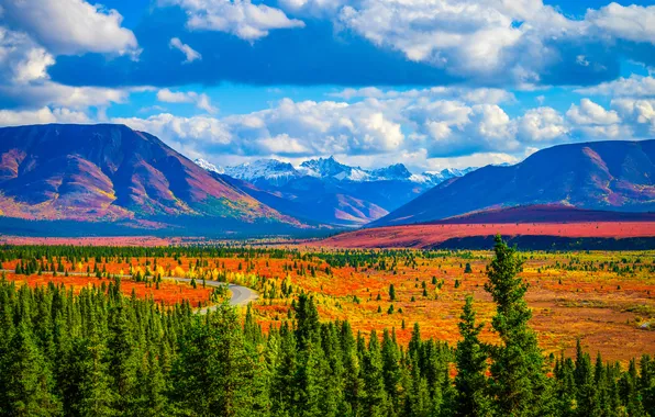 Road, the sky, the sun, clouds, trees, mountains, field, Alaska