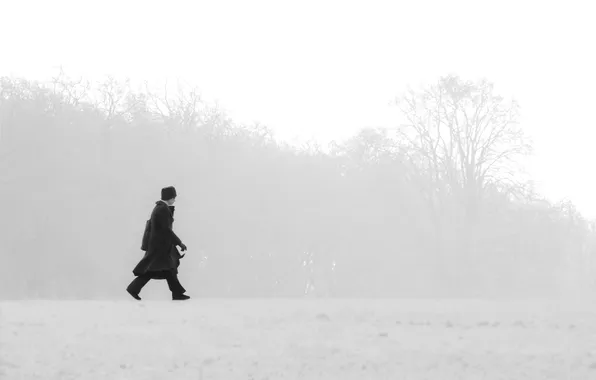 Picture winter, field, trees, fog, silhouette, male, walking, steps