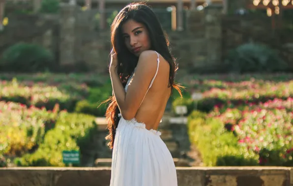 Picture pose, back, dress, brunette