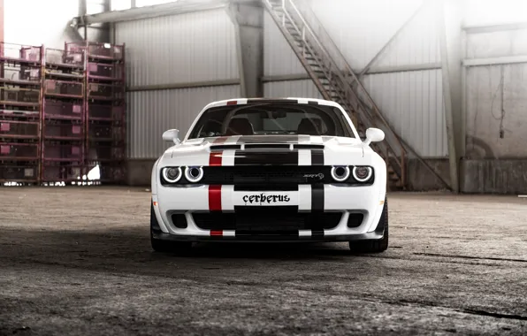 Picture white, Dodge, Challenger, front view, GeigerCars, 2019, SRT Hellcat Cerberus