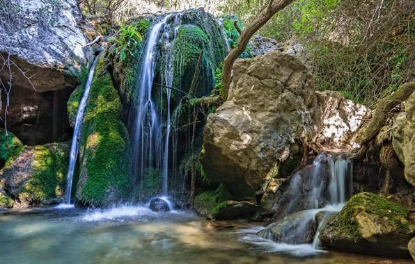 Picture waterfall, stones, forest, stream