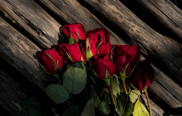Flowers, bouquet, Board, Roses, buds