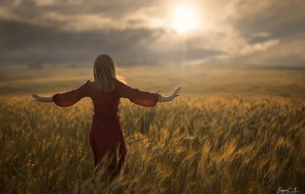 Picture wheat, field, girl, the sun, the wind, back, Antonio Conde