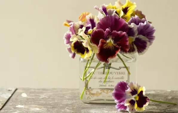 Flowers, bouquet, Pansy, vase. petals