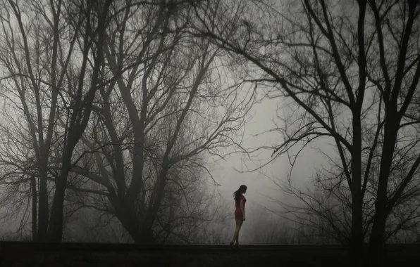 Picture girl, trees, fog, loneliness