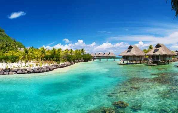 Sea, tropics, palm trees, the ocean, houses, Bora Bora