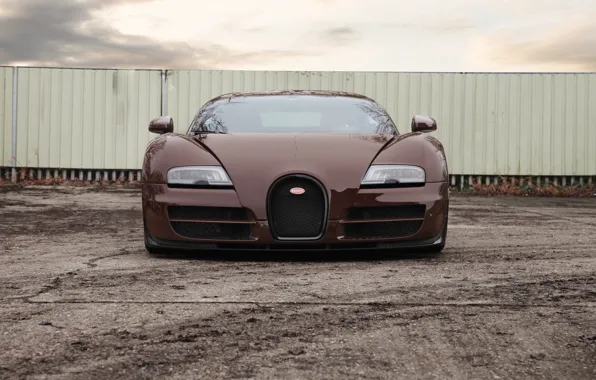 Picture Bugatti, Veyron, front, Bugatti Veyron 16.4 Super Sport