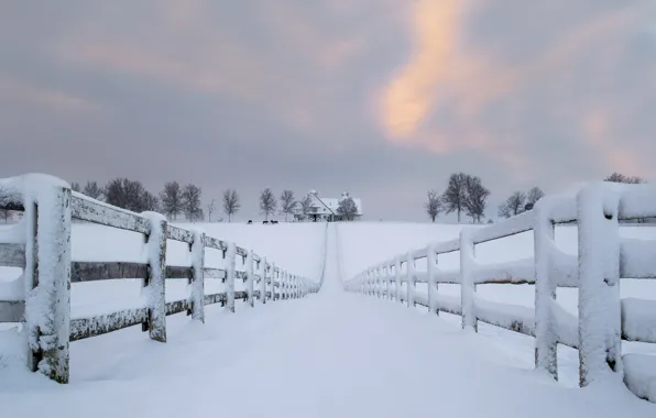Road, snow, house, the fence