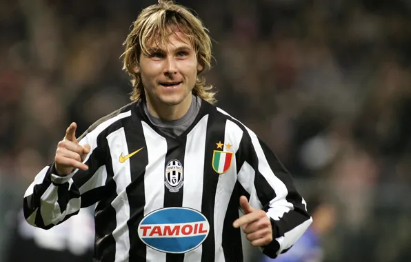 Picture Horse, Juventus, Juventus, Pavel Nedved, Pavel Nedved, Czech rocket, Pavelina