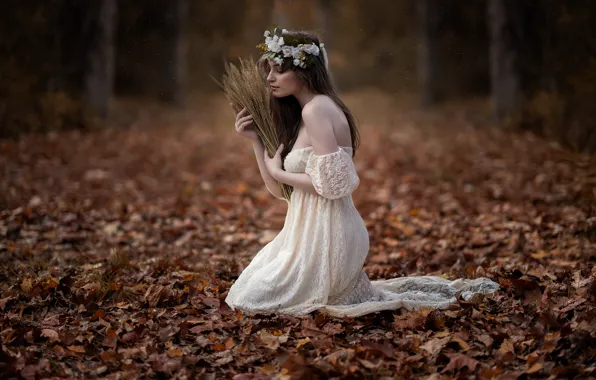 Picture autumn, leaves, girl, dress, spikelets, wreath, Sofia