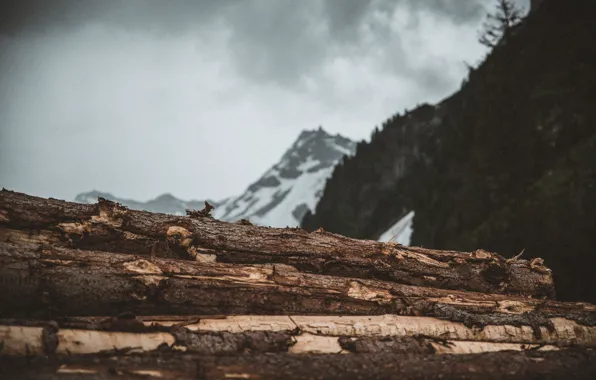 Mountains, Mountain, Forest, Mountain, Mountains, Forest, Logs, Logs