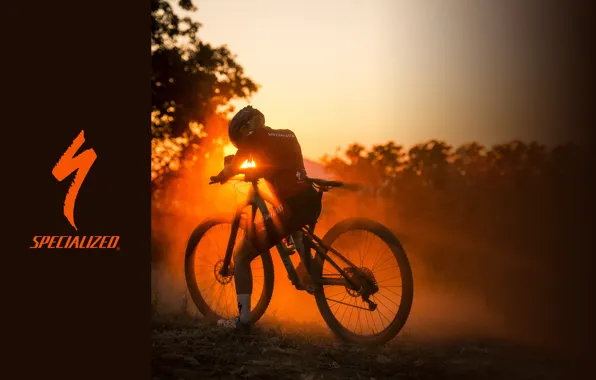 The sun, rays, sunset, bike, sport, light, sport, bike