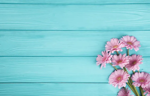 Picture flowers, background, bouquet, gerbera