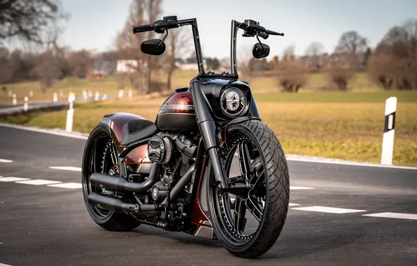 Red, Tuning, force, Harley-Davidson, customized, Thunderbike, softial, custombikes