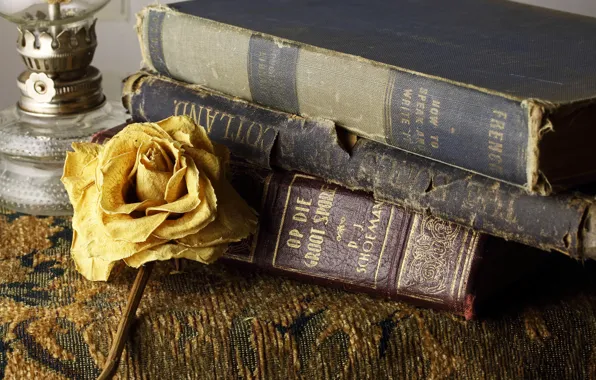 Old, retro, rose, books, old, cover, yellow, kerosene lamp