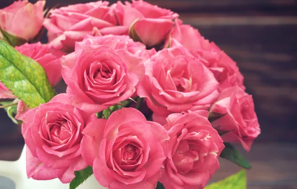 Roses, Pink, pink, Roses, color, Closeup