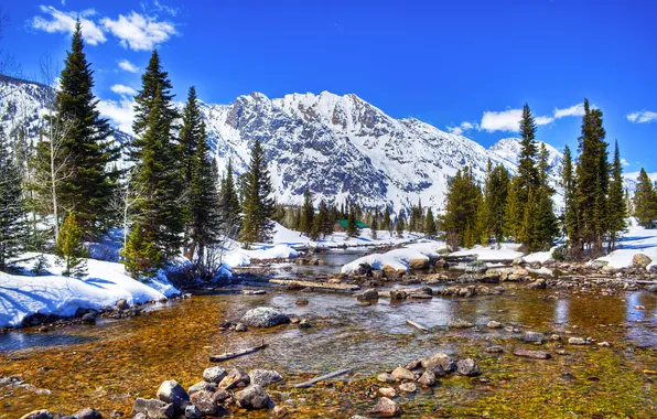Picture winter, the sky, snow, trees, mountains, river, stones, USA