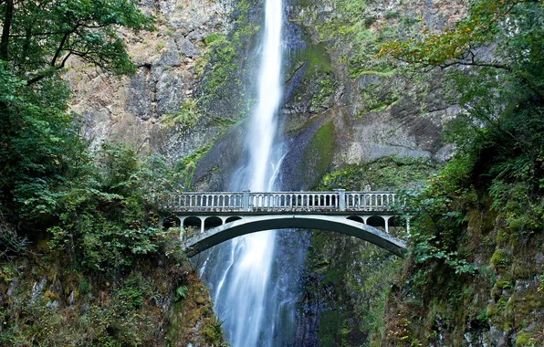 Bridge, rock, waterfall, USA, Oregon, Multnomah falls