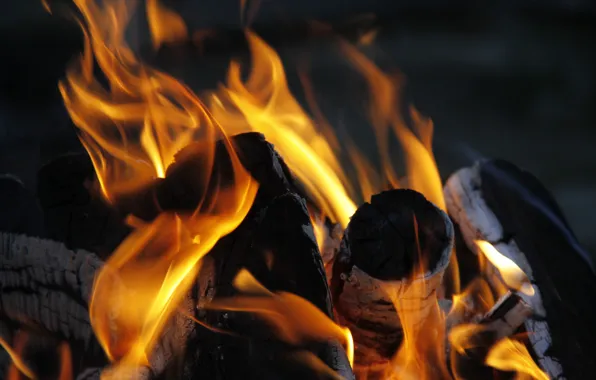 Picture macro, background, fire, Wallpaper, the fire, wood, coal, flame