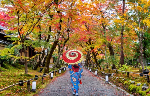 Autumn, leaves, girl, trees, Park, colorful, Japan, Japan