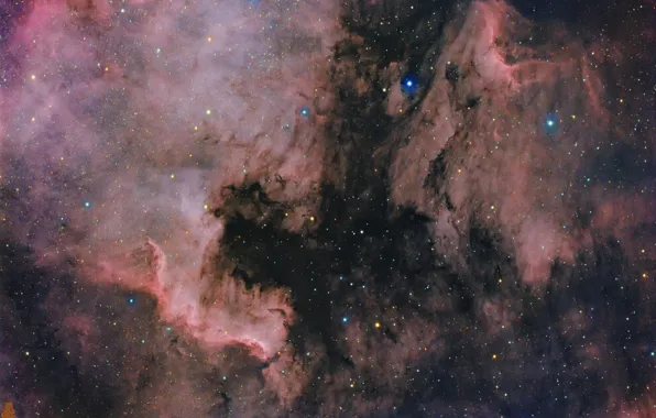 Picture space, nebula, North America, Pelican