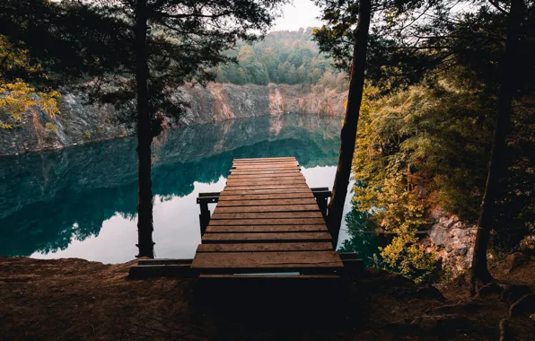Forest, lake, rocks, shore, pine, the bridge, bridges, pond