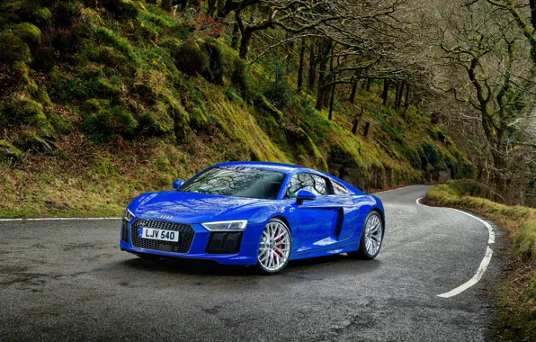 Road, forest, Audi, Audi, supercar, blue
