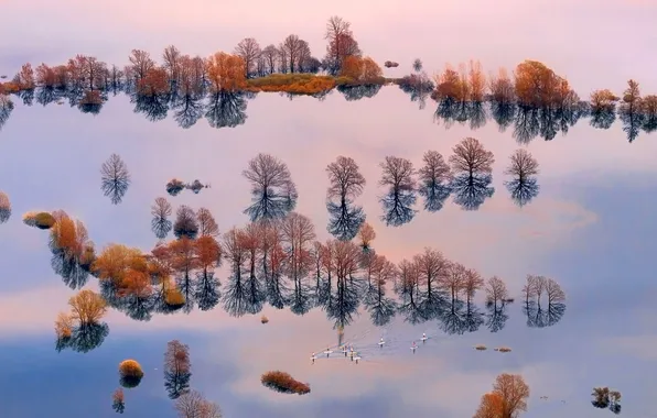 Water, trees, boat, Board, people, flood, Slovenia, the basin of the river Ljubljanica