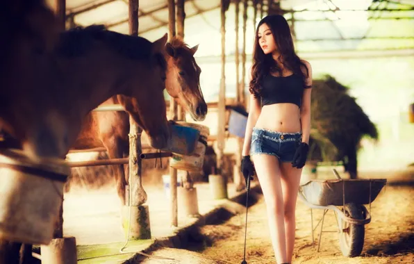 Picture girl, beautiful, model, horses, asian