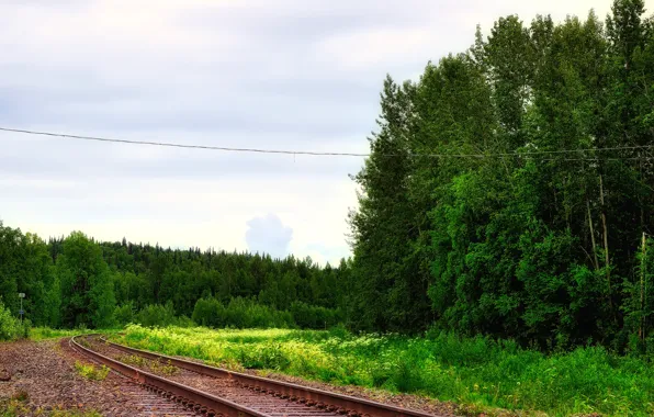 Picture road, forest, the sky, rails
