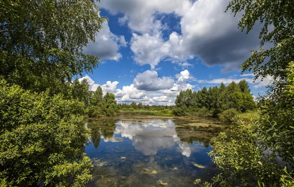 Picture summer, the sky, clouds, trees