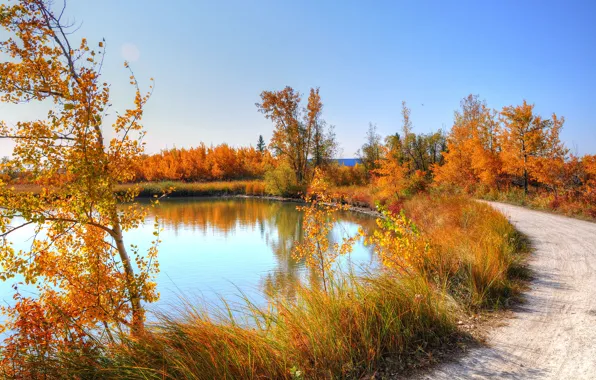 Picture road, autumn, the sky, grass, leaves, trees, nature, pond