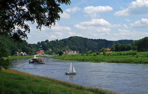 Picture trees, river, ship, Germany, meadow