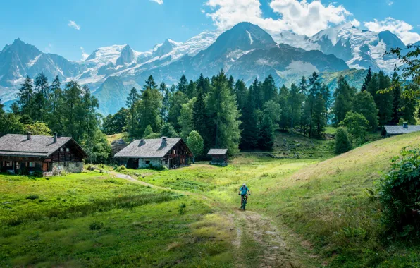 Road, forest, summer, mountains, nature, village, male, Belgium