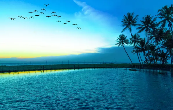 Sea, landscape, seagulls, blue sky