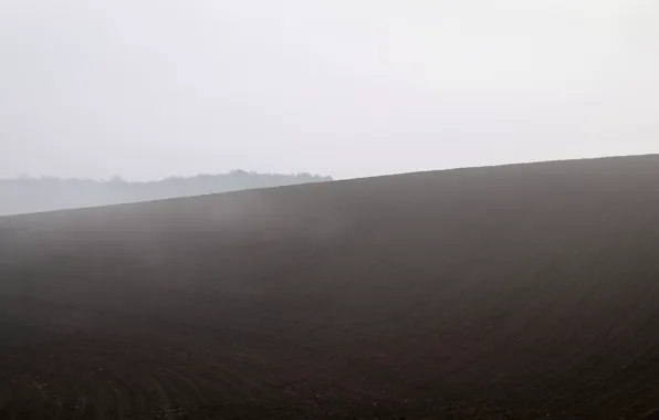 Field, nature, fog